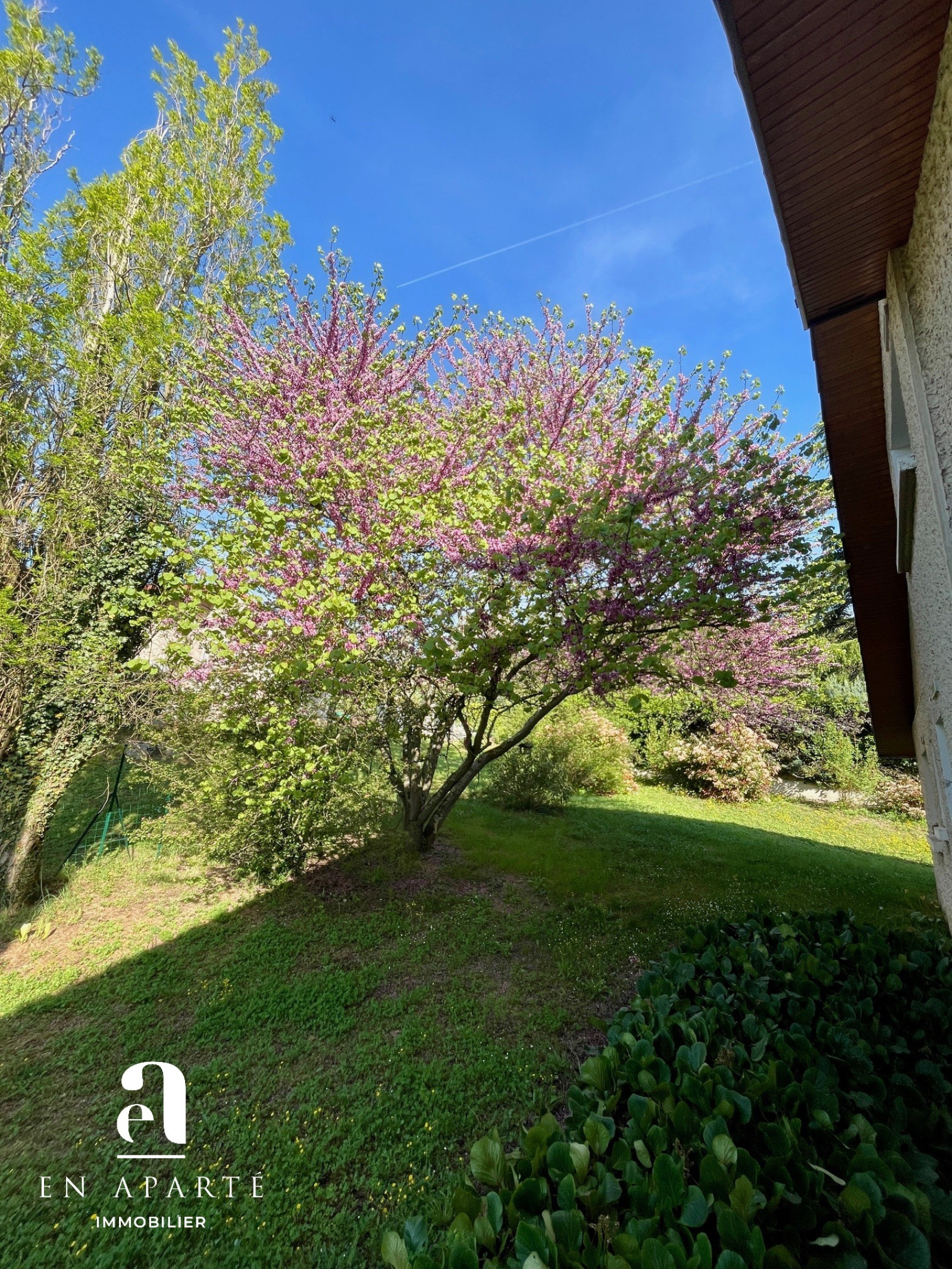 Image_, Maison, Beynost, ref :M1071