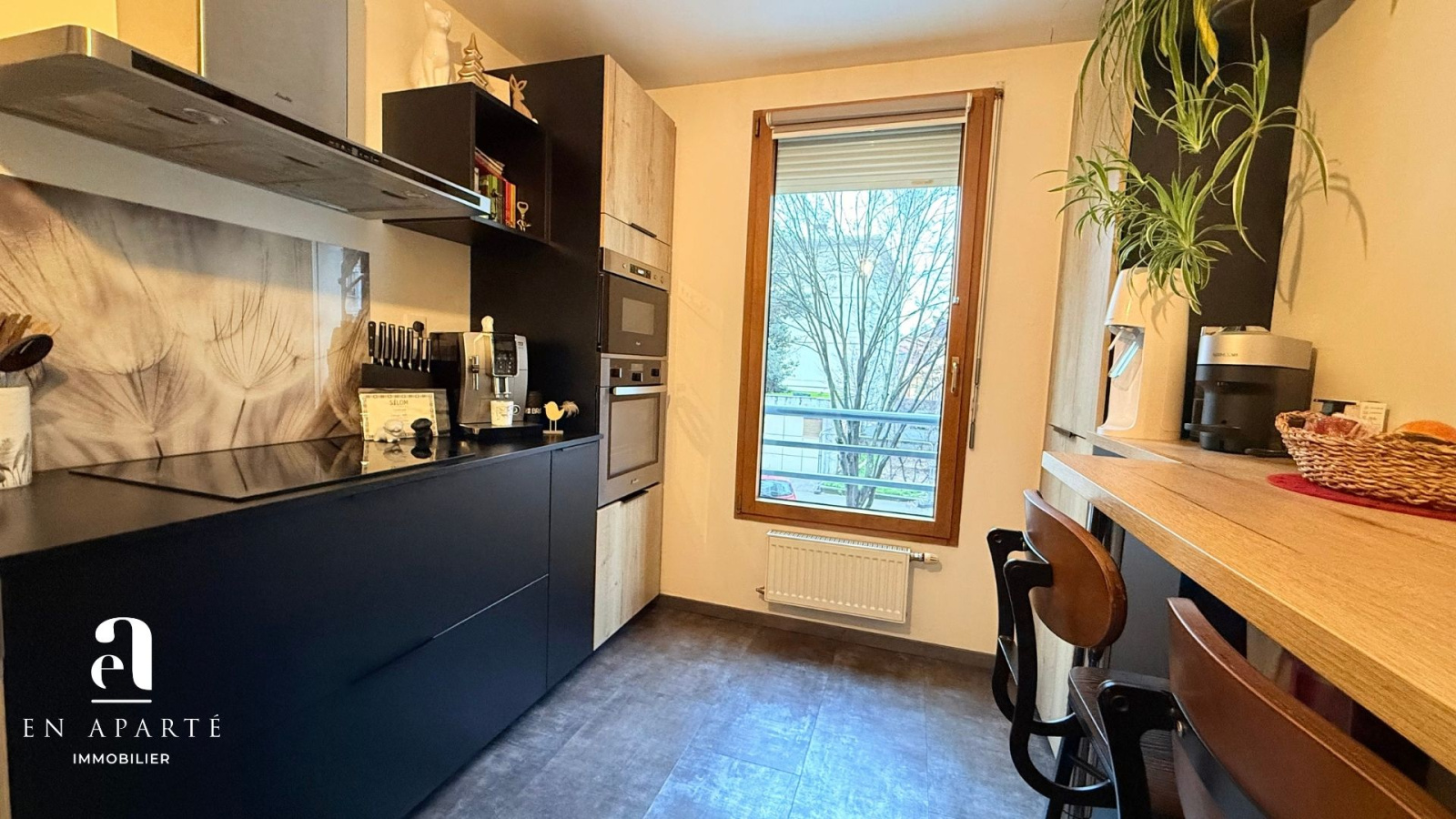 Image_, Appartement, Lyon, ref :ALYO8 1065