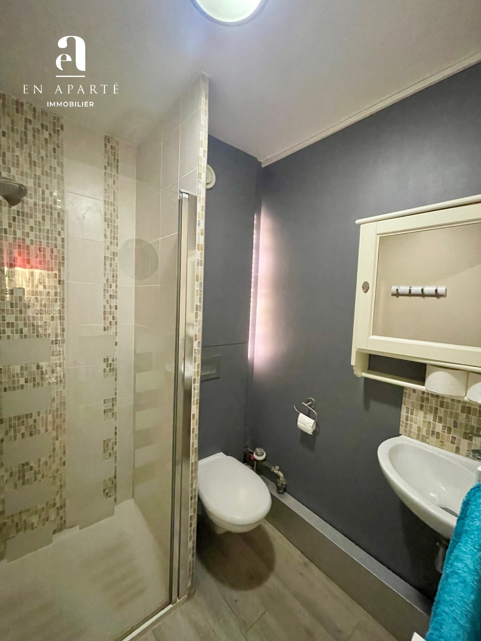 Image_, Maison, Francheville, ref :MF1062